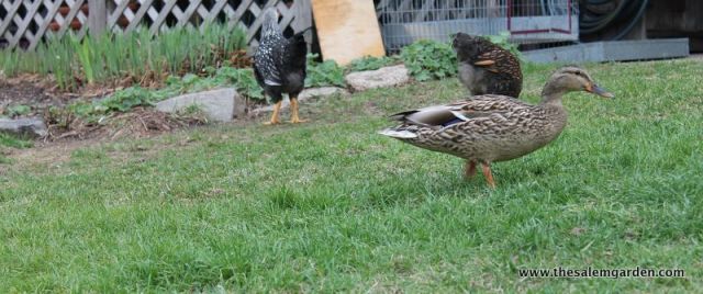 I'm not afraid of these young whipper snappers!