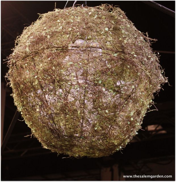 This light fixture hung just above the moss settee.. perfect!