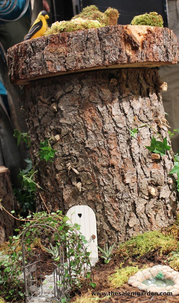 And a beautiful fairy garden...