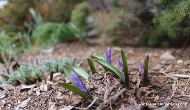 Image 3-15-16 at 8.50 AM (3)